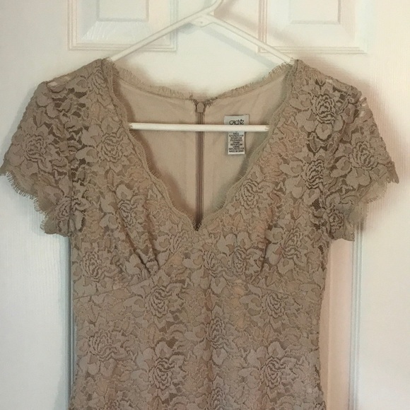 Cache Dresses & Skirts - NWT Cache tan Lace Dress